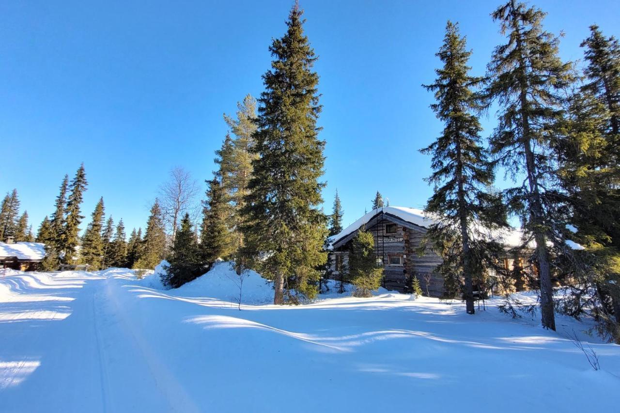 Holiday Home Vonkamies ルオスト エクステリア 写真